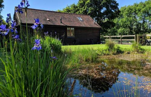 Cottage near Corfe & Jurassic Coast - Foto 43