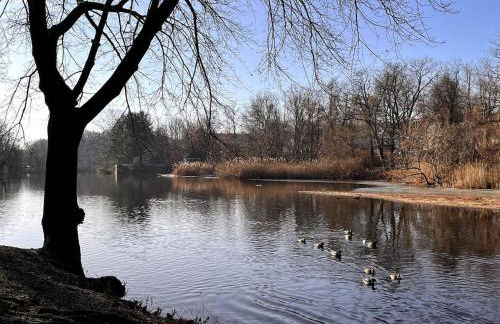 Private Modern 1st Flr 3 Bed Apt Close to Downtown - Foto 38