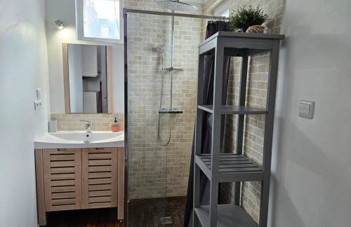 ARAGO1 - Appartement Tours centre sur jardin - Foto 9