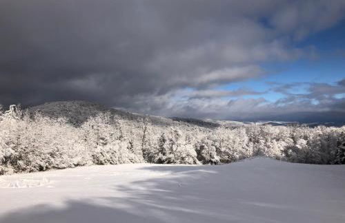 Private, Quiet Vermont Studio With Mountain Views - Foto 7