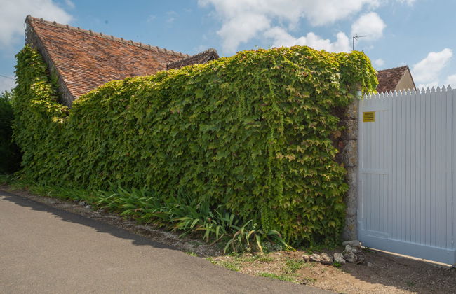 La Bachelotte - Foto 29