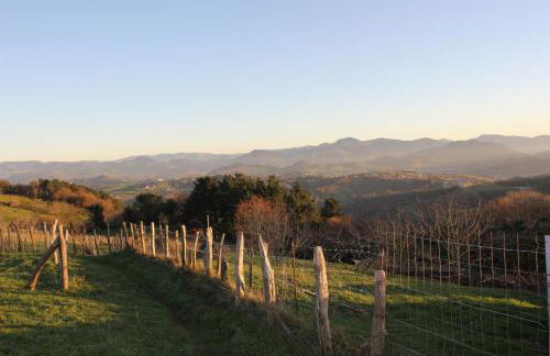 Iturritxo Landetxea - Foto 33