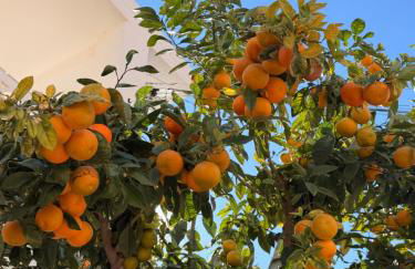 "Indaloo" apartment for couples, Para parejas solamente, EXCEPTIONAL! Vera Playa, Vera Costa, 200 m from the Las Marinas beach - Foto 49