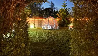 Monte do Bidé Private Farm Peace and Nature - Foto 5