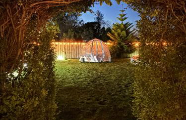 Monte do Bidé Private Farm Peace and Nature - Foto 5