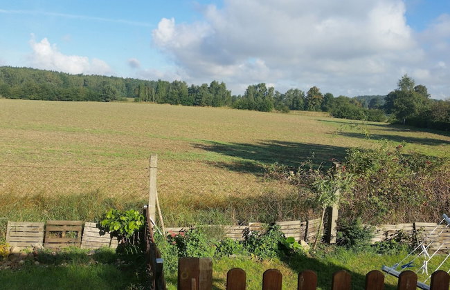 Gemutlicher Bungalow mit Garten in Nakenstorf - Foto 38