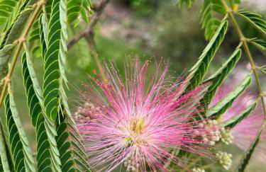 Gite de Claire Fontaine avec vue sur Monflanquin - Foto 19
