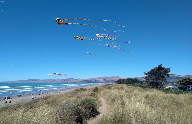 South Brighton Holiday Park - Foto 39