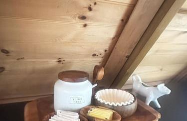 Bearly Behavin - Foto 27