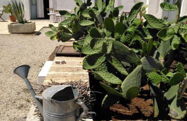 Masseria Fulcignano - Foto 85