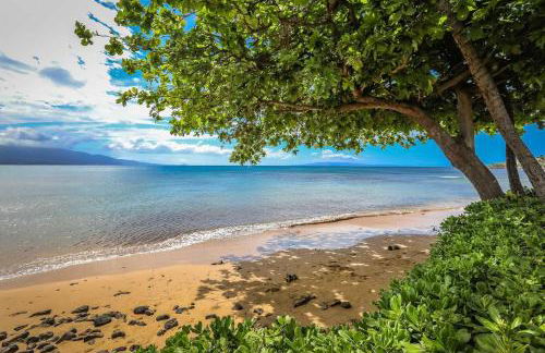 Kanai A Nalu 318 - Foto 39