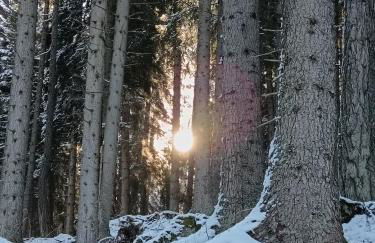 Casa Shabby - Comfortable family apartment near the slopes - Confortevole appartamento per famiglie vicino alle piste - Foto 18