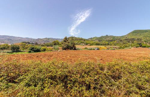 Vista Osorio - Foto 68