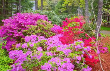 Overlook Poolside Getaway With Seasonal Pool - Foto 55