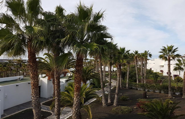 Palmeras Garden - Foto 32