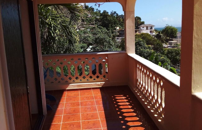 The Beauty of Samana - Foto 8