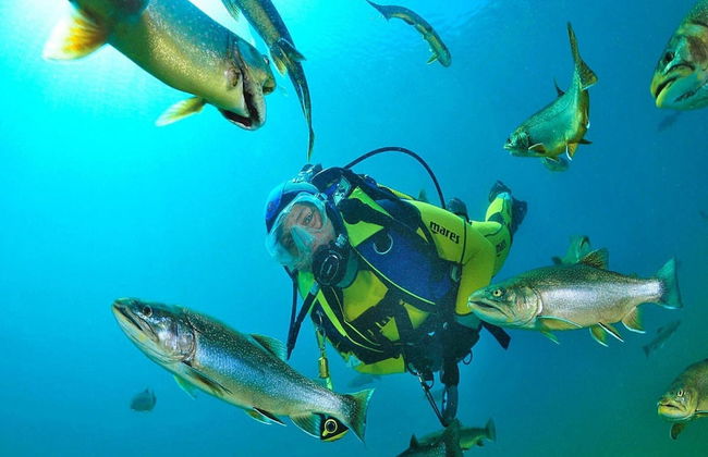 Holiday Village Prabichl, Vordernberg - Foto 29