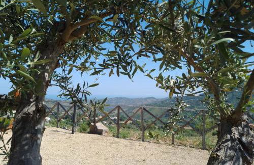 Agriturismo Dispenza - Foto 95