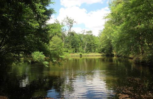 Gîte de Charme pour 6 pers, Jardin & Étang privé - FR-1-496-157 - Foto 28