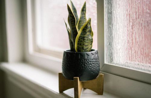 Blissful Heated Pool Retreat - Foto 19