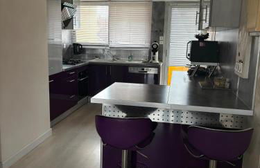 Bel appartement spacieux et lumineux de 100m2 au 3e étage avec ascenseur -A 5mn à pied du parc des expositions congrès de Dijon et ENG et 10mn du centre ville place Parking devant l'immeuble - Foto 10