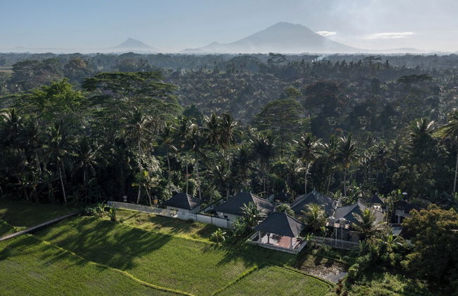 Capung Asri Ubud - Foto 39