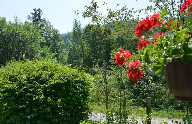 Abnaki, Chalet - Foto 7