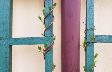 Willa Reglówka Stylowy dom Pachnący ogród - Foto 65