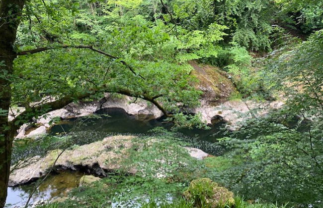 Blairgowrie Luxury 3 Bed Lodge With Hot Tub - Foto 30