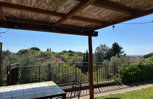 Casa Belvedere di Bolgheri - Foto 2