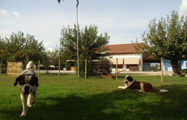 Podere Vedelago - Foto 17