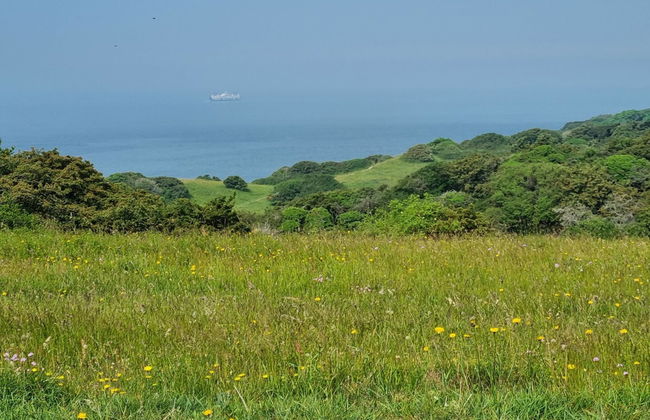 "Miona" - 725m from the sea - Foto 7