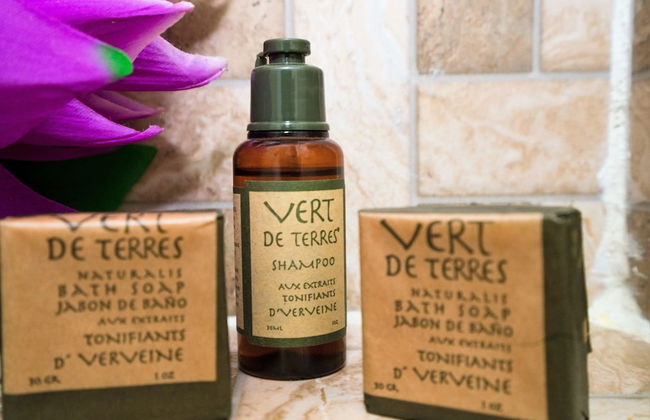 Posada Flamingos - Photo 10