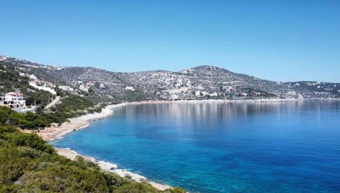 Blue and White - Photo 5