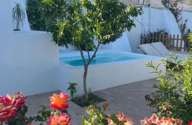 El Majuelo 2 - Foto 4