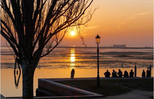 TIFFANY GOLD - Photo 25