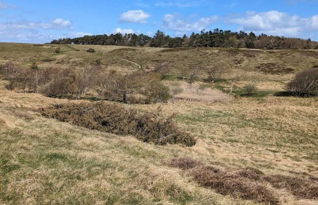 Luxury Villa With Pool - By Traum Ferienwohnungen - Foto 8