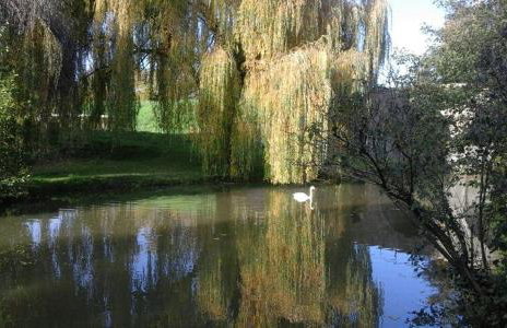 Le Clos des Cygnes - Foto 1