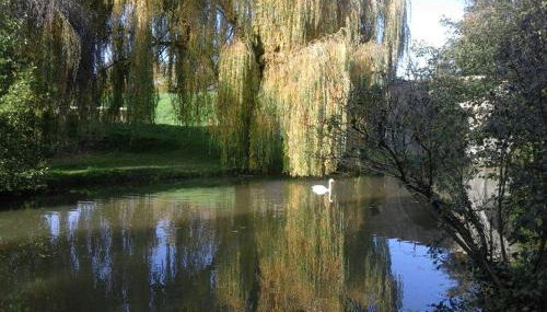 Le Clos des Cygnes - Photo 1