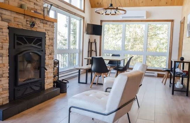 Sommet- Pet Friendly- Spa- SKI IN SKI OUT St-c me - Foto 6