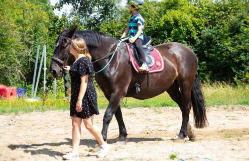 Meislahnhof Fehmarn - Foto 65