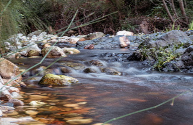 A Riverbed Guesthouse - Photo 55