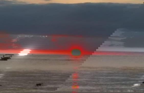 Seacret Studios - Cozy Jamaican Retreat Apts by RedAwning - Photo 19