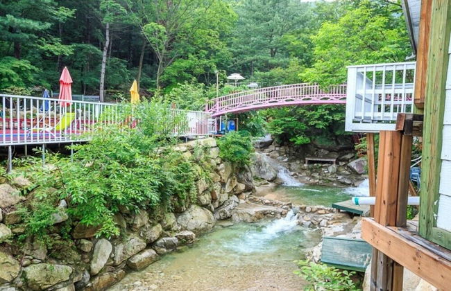 Elsia Pension - Photo 67