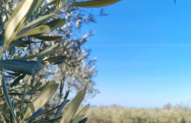 Apartment Sunrise, coastal Istra, Pula Duga Uvala Pavićini - Photo 54