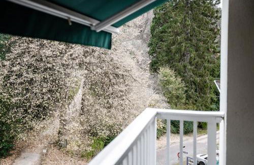 Villa Hedwig - Schwarzwald Apartments mit Thermalbad-Nähe & Balkon mit Bergblick - Foto 52