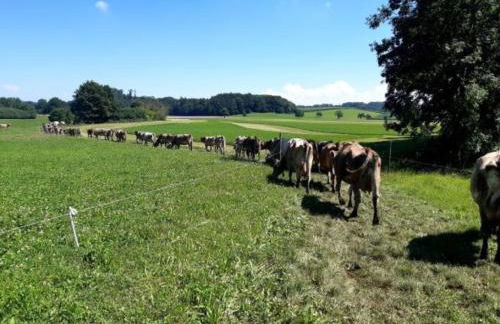 Rösslerhof Ferienwohnung Obstwiese - Photo 21
