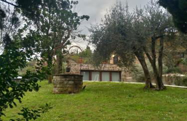 Poggio Gherardo - Foto 22