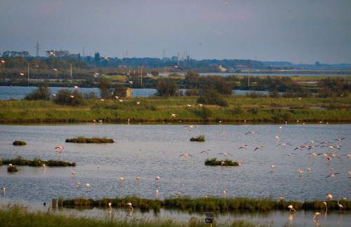 Residence Eden - Foto 32