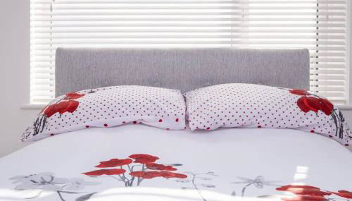 Host & Stay - Wilson Studio - Foto 5